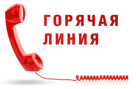 Горячая линия по качеству детских товаров пройдет в Тимашевске