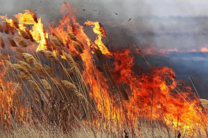 В Краснодарском крае объявили предупреждение по высокой пожароопасности