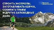 Заповедное волонтерство