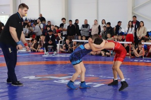 В Брюховецкой прошел турнир по вольной борьбе