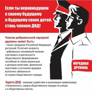 Народная дружина – основанное на членстве общественное объединение, участвующее в охране общественного порядка во взаимодействии с органами внутренних дел (полицией) и иными правоохранительными органами, органами государственной власти и органами местного