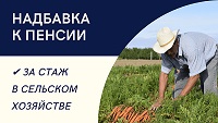 Более 42 тысяч жителей Кубани получают пенсию в повышенном размере за работу в сельском хозяйстве