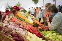 Город Севастополь приглашает производителей сельскохозяйственной продукции Кубани к сотрудничеству