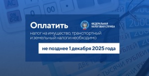 Не забудьте оплатить налоги