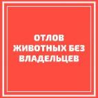 Отлов животных без владельцев