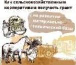 Грант начинающим СПоК