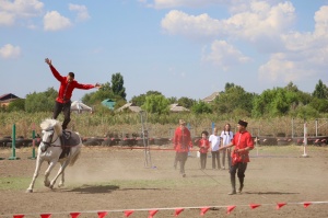 Сила единства
