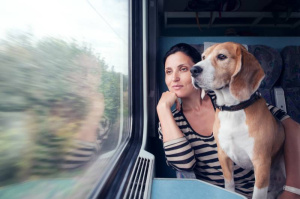 Краснодарская транспортная прокуратура разъясняет  порядок перевозки железнодорожным транспортом  собак крупных пород и служебных собак