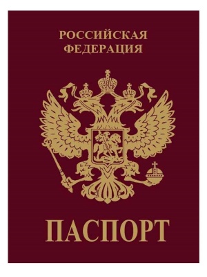 Полиция Брюховецкого района напоминает о возможности замены паспорта через портал Госуслуг
