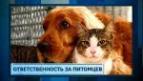 Памятка для владельца домашних животных и для руководителя малого и среднего бизнеса