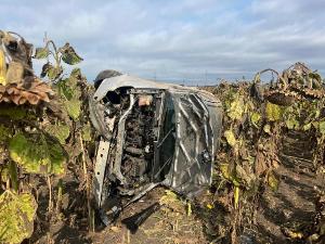 Статистика дорожно-транспортных происшествий,  зарегистрированных на территории Брюховецкого района  в августе 2025 года